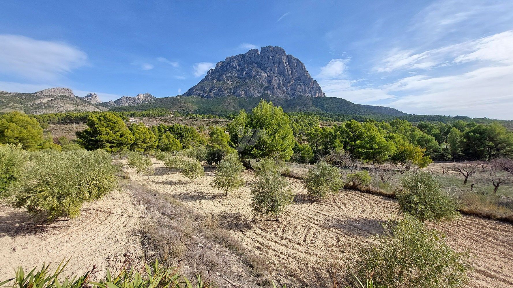 Finca rustique à vendre avec vue sur la mer et la montagne à Finestrat, Costa Blanca